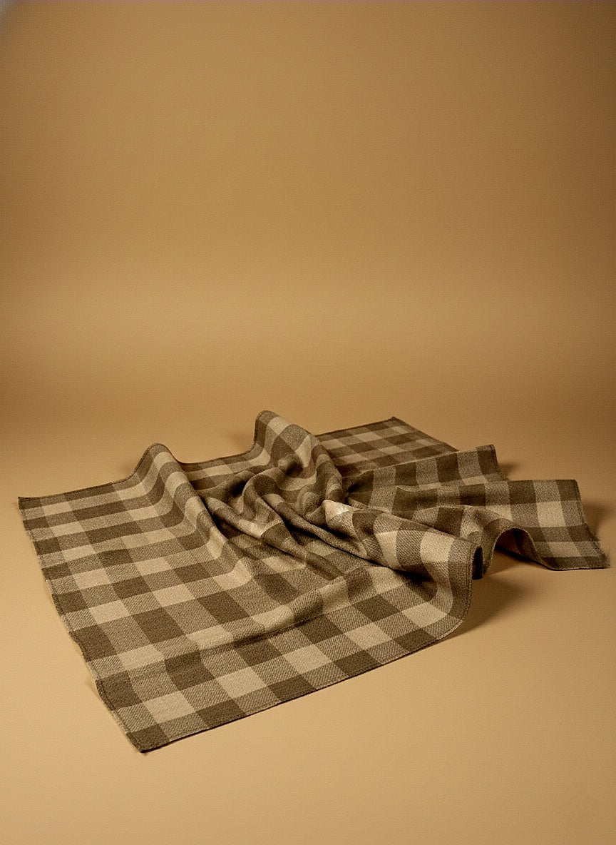 Gulnaar Beige Chequered Pure Pashmina Shawl Handspun and Handwoven