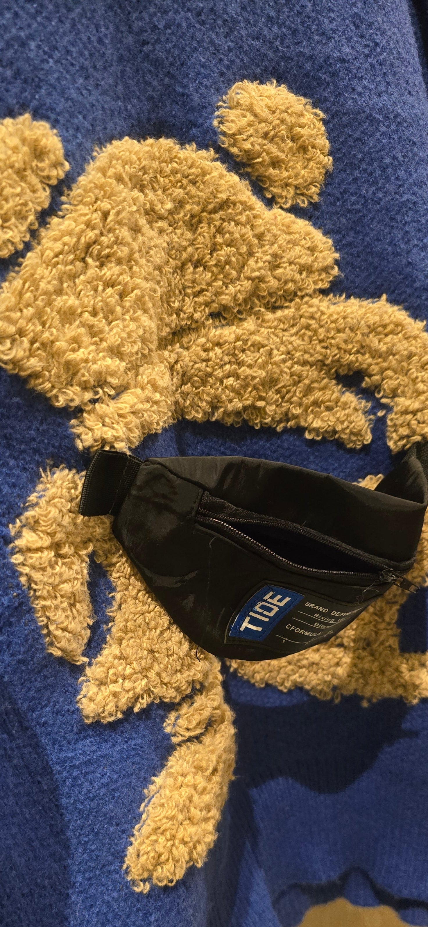 Sunny Bear Sweater With Fanny Pack